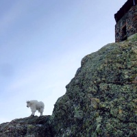 Harney Peak Taken 1-30-15.jpg